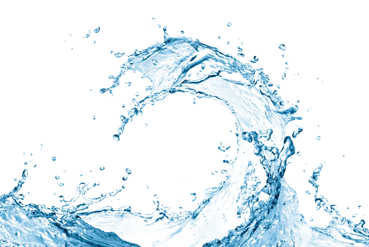 The Role of Aquaculture in Sustainable Food